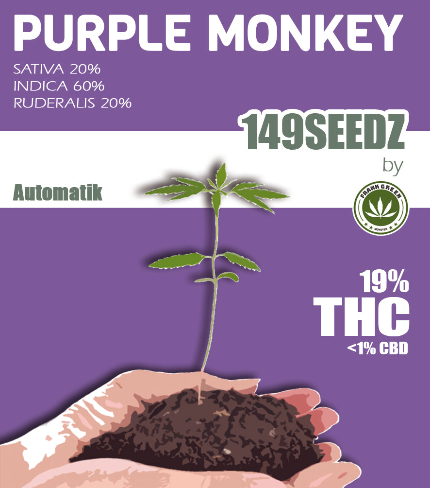 149SEEDZ (automatic) - Purple Monkey
