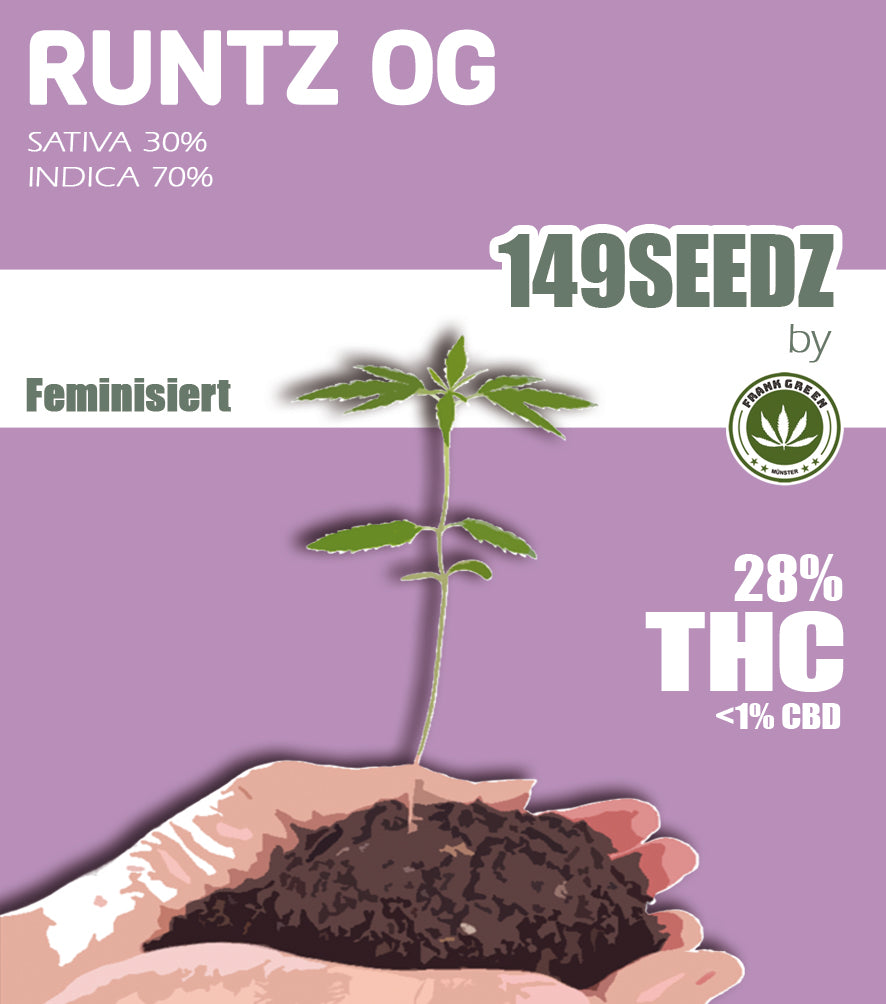 149SEEDZ (feminisiert) - Runtz OG