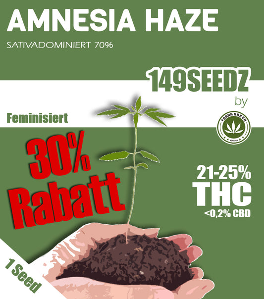 149SEEDZ - Amnesia Haze (feminisiert)