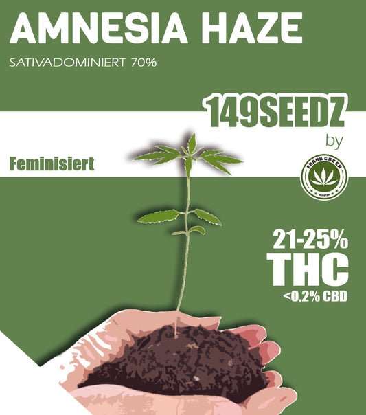 149SEEDZ - Amnesia Haze (feminisiert)