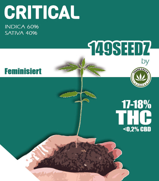 149SEEDZ - Critical (feminisiert)