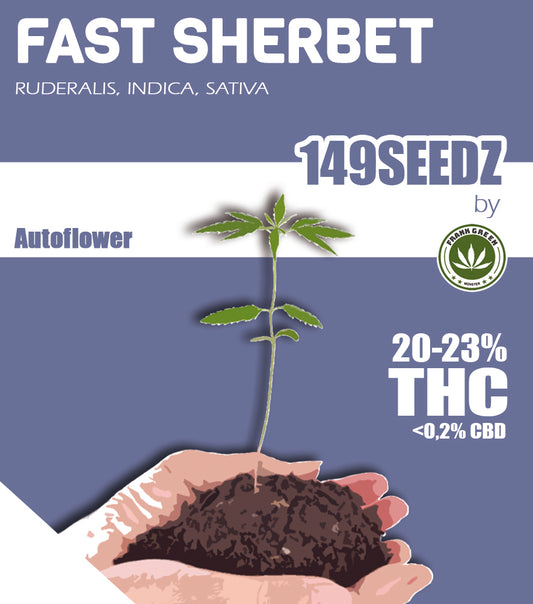 149SEEDZ - Fast Sherbet (autoflower)