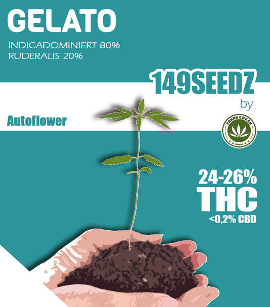 149SEEDZ - Gelato (autoflower)