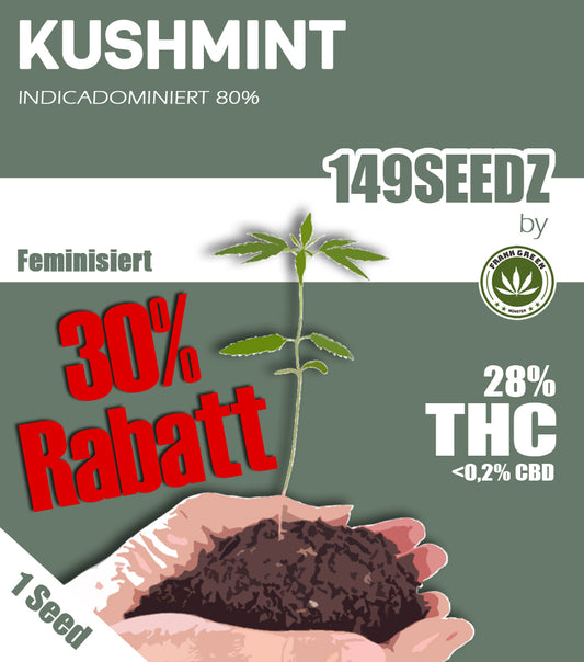 149SEEDZ - Kushmint (feminisiert)