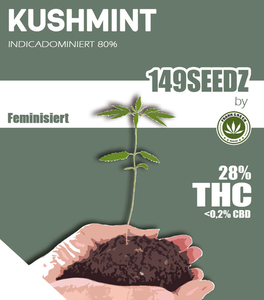 149SEEDZ - Kushmint (feminisiert)
