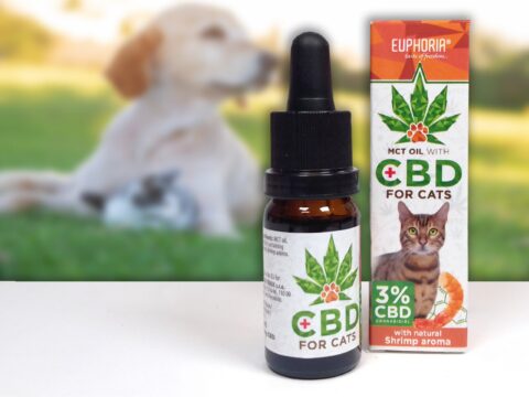 Euphoria CBD Vollspektrum Öl für Katzen (3%)