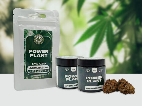 CBD – Power Plant (17%)