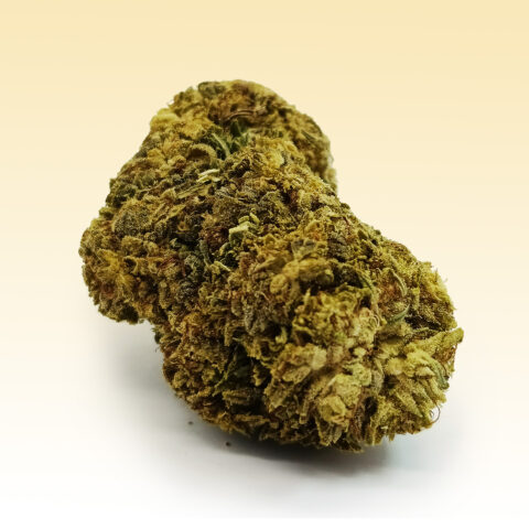 CBC+ Jamaican Dream (30%)