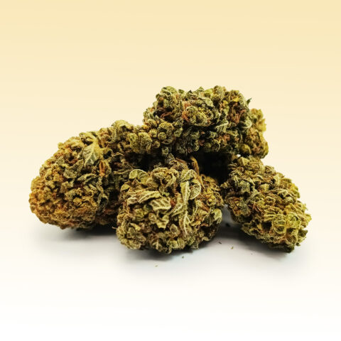 CBC+ Lemon Haze (30%) Blüte