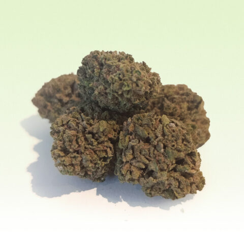 CBD – Laughing Buddha (18%) Blüte